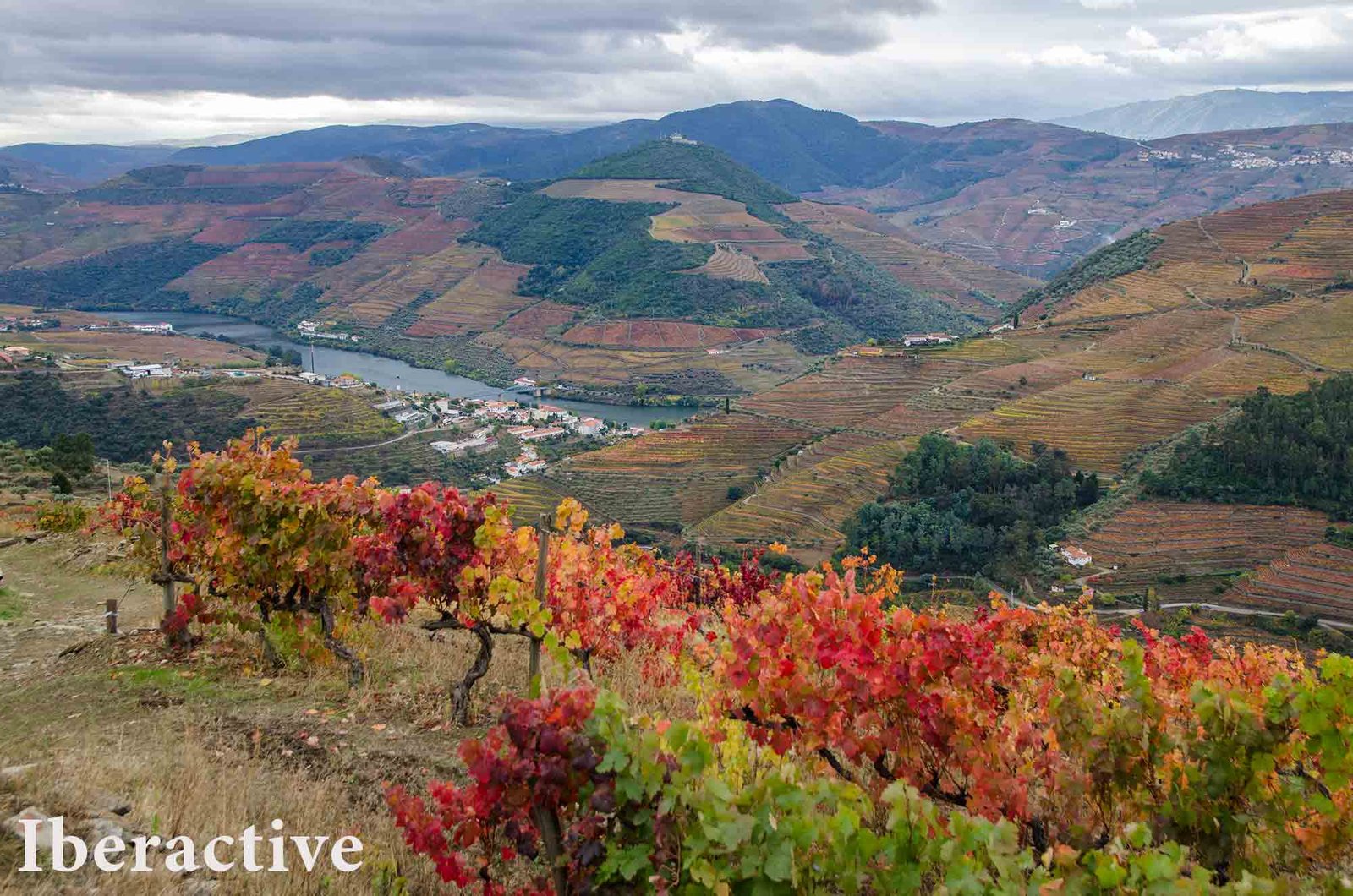 Douro Valley - Landscape