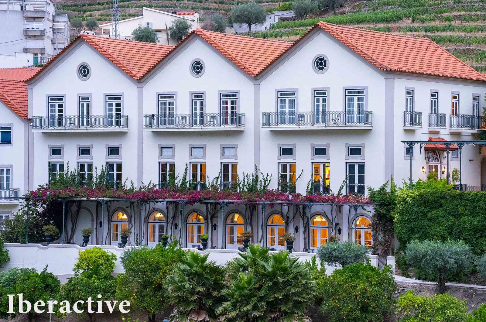 Douro Valley - Vintage House